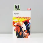 ਫਰੰਗੀਆਂ ਦੀ ਨੂੰਹ (Pharangian Di Nuh)-veena verma-punjabi-novel
