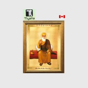 Guru Nanak Dev Ji Sitting Photo Size 8x11