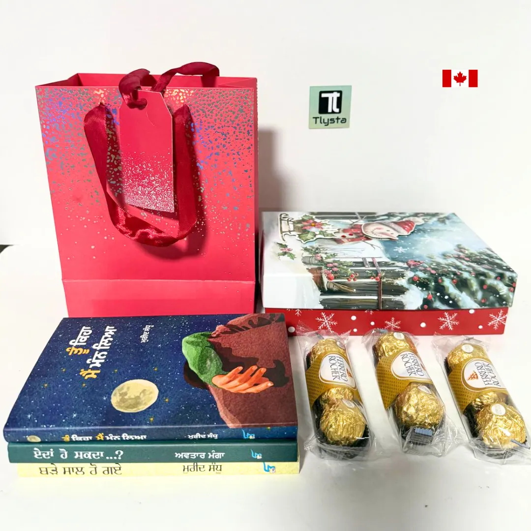 Christmas & New Year Gift (2)