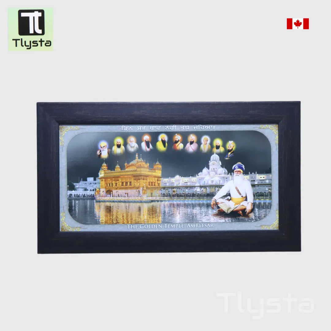 Ten Gurus Photo Frame Wth Baba Deep Singh Ji Grey Size 20x10 inch