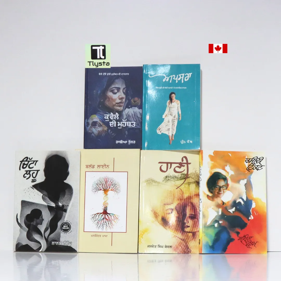 Bold & Beautiful Punjabi Stories Books Set