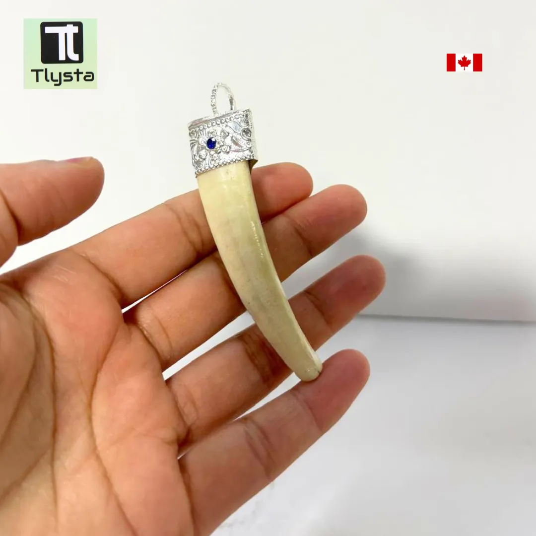 Boar Tusk (Soor Dandh) Big With Stone