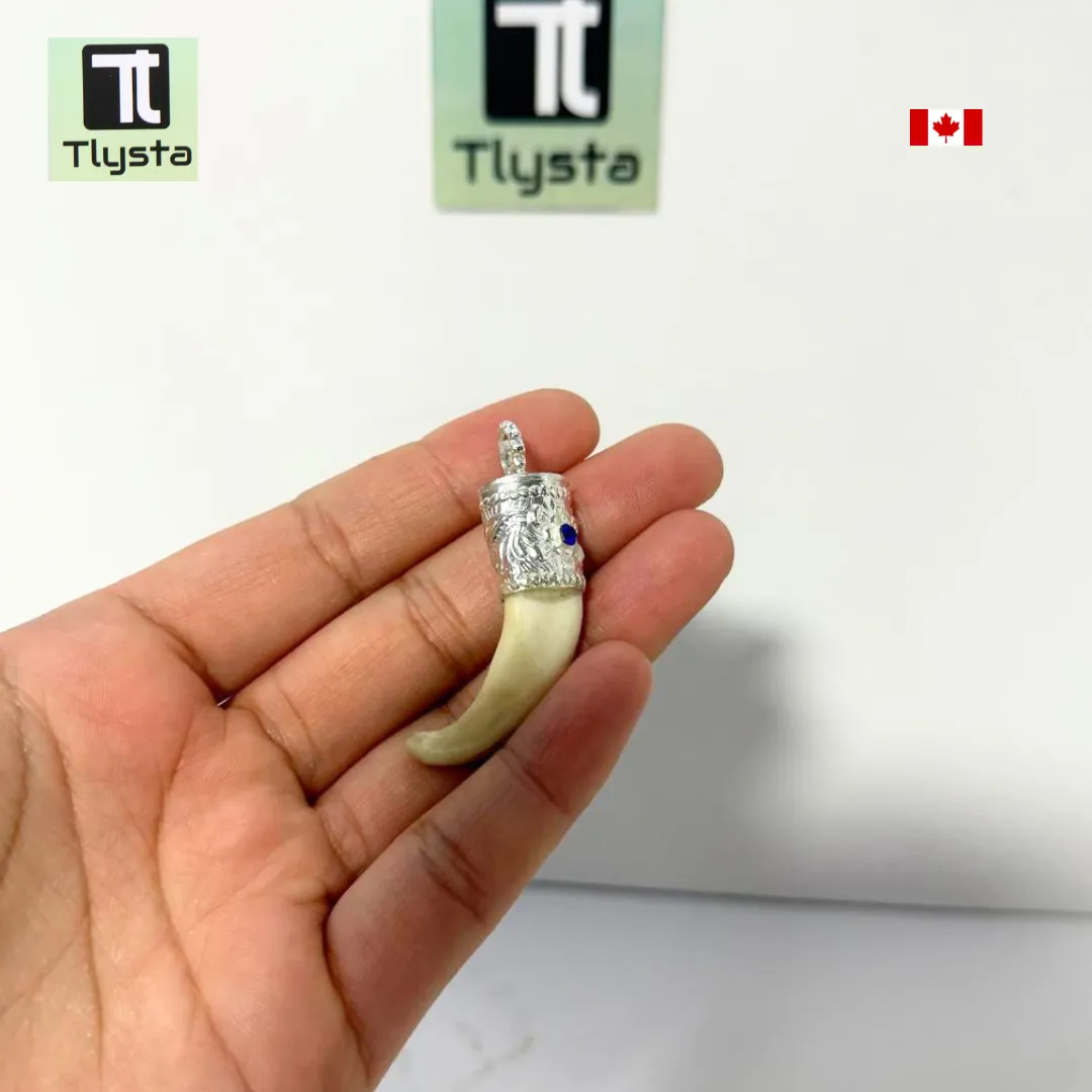 Boar Tusk (Soor Dandh) Small