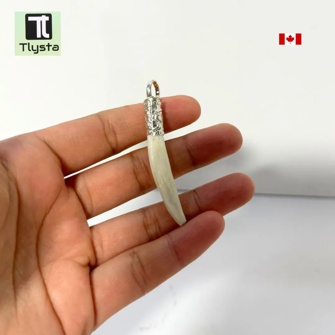 Boar Tusk (Soor Dandh) Thin