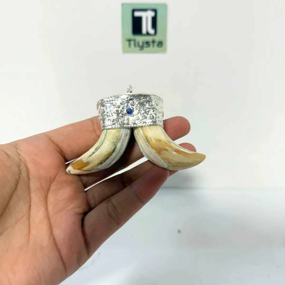 Boar Tusk (Soor Dandh) Thick Double