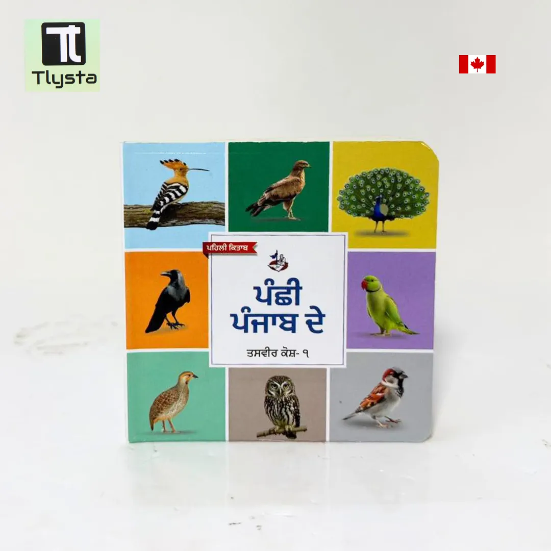 ਪੰਛੀ ਪੰਜਾਬ ਦੇ (Panchhi Punjab De) Card Board Book for Kids