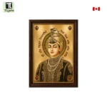 Guru Har Krishan Ji Photo