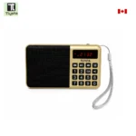 Multifunctional Gurbani Radio 16 GB