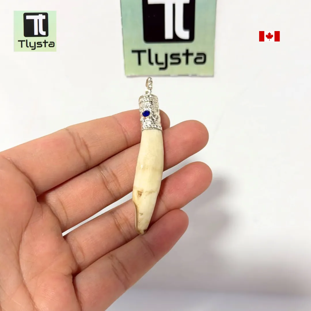 Boar Tusk (Soor Dandh) Thin Shape 1