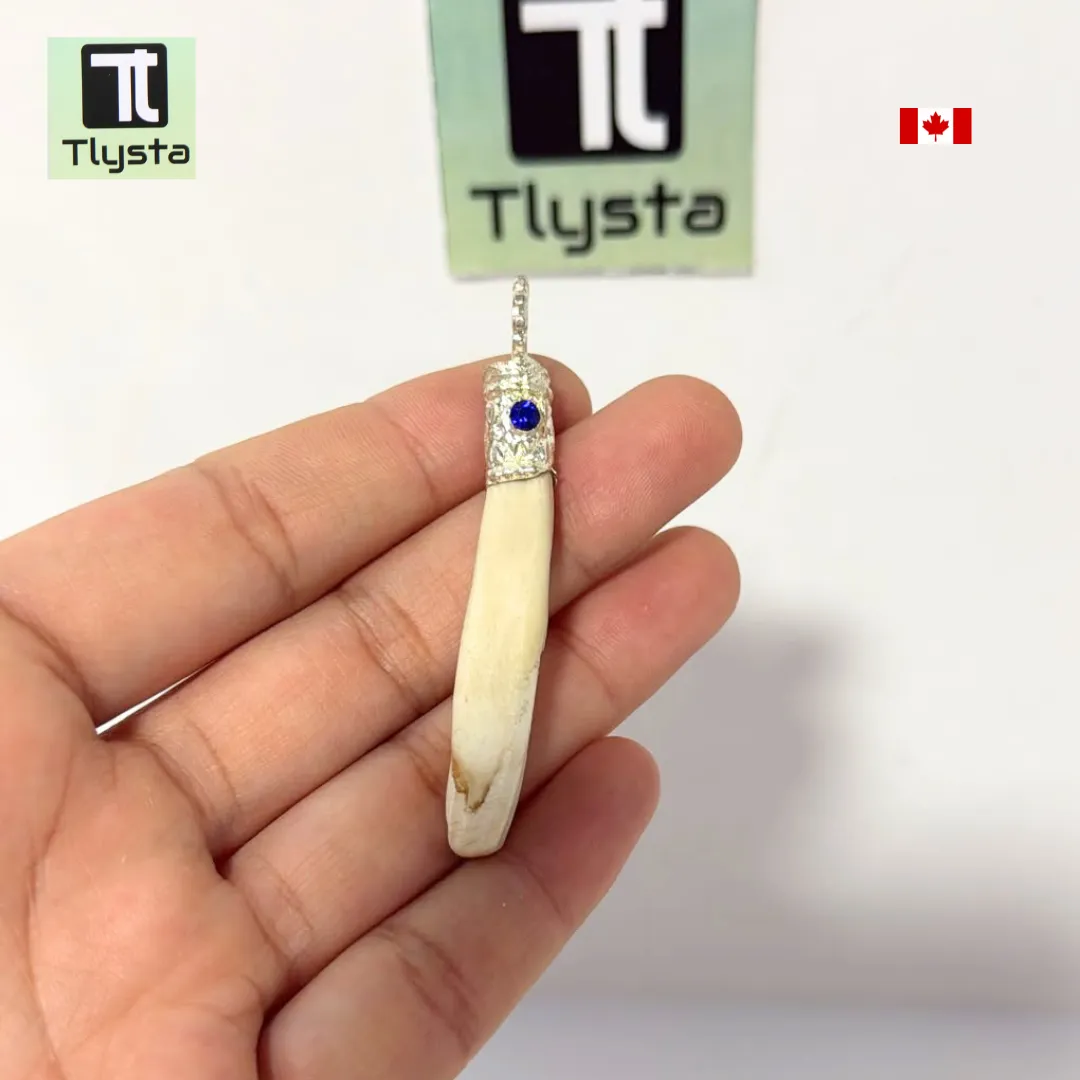Boar Tusk (Soor Dandh) Thin Shape 10