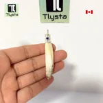 Boar Tusk (Soor Dandh) Thin Shape 11