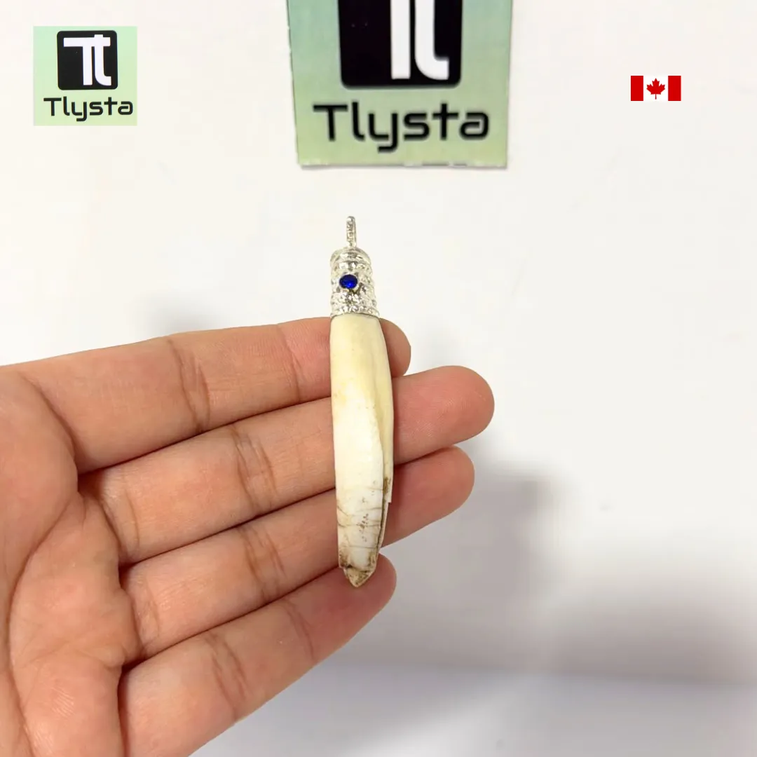 Boar Tusk (Soor Dandh) Thin Shape 11