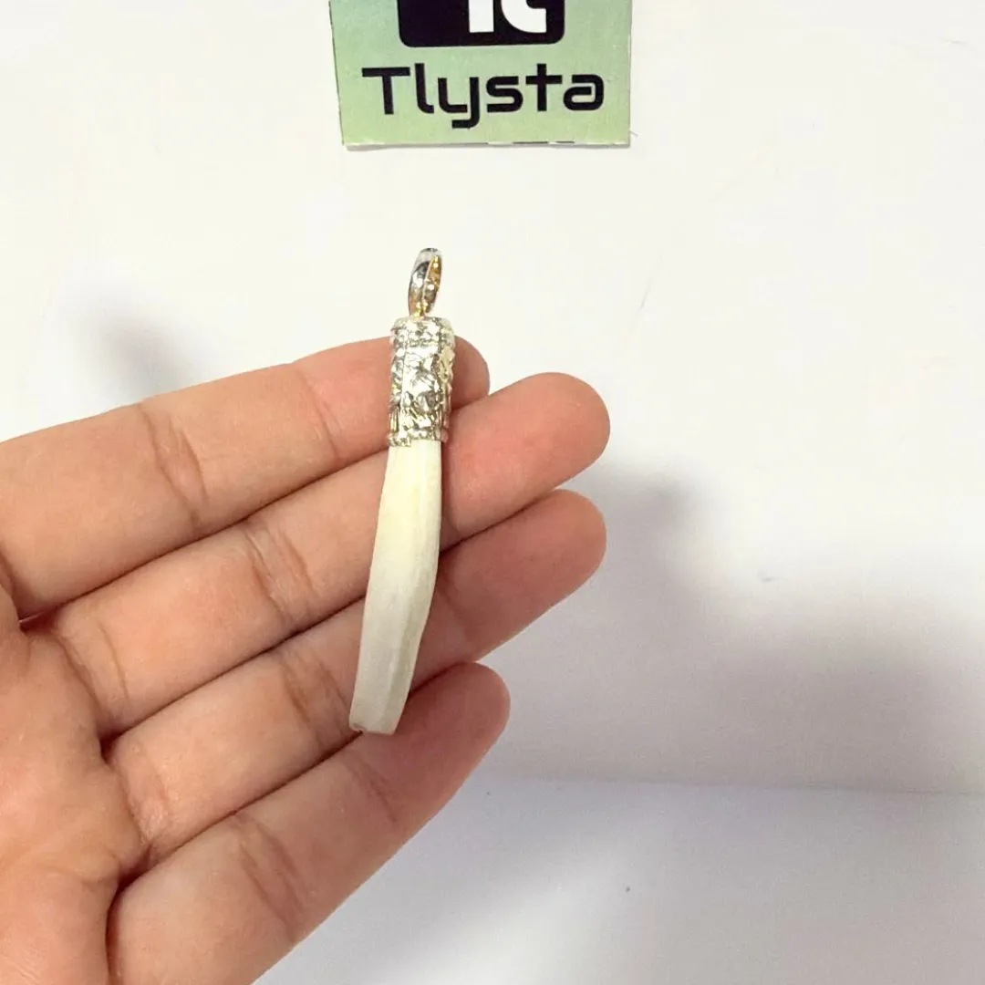 Boar Tusk (Soor Dandh) Thin Shape 12