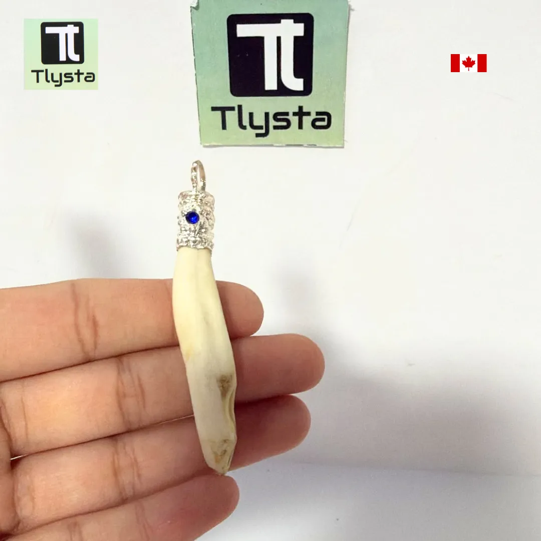 Boar Tusk (Soor Dandh) Thin Shape 16
