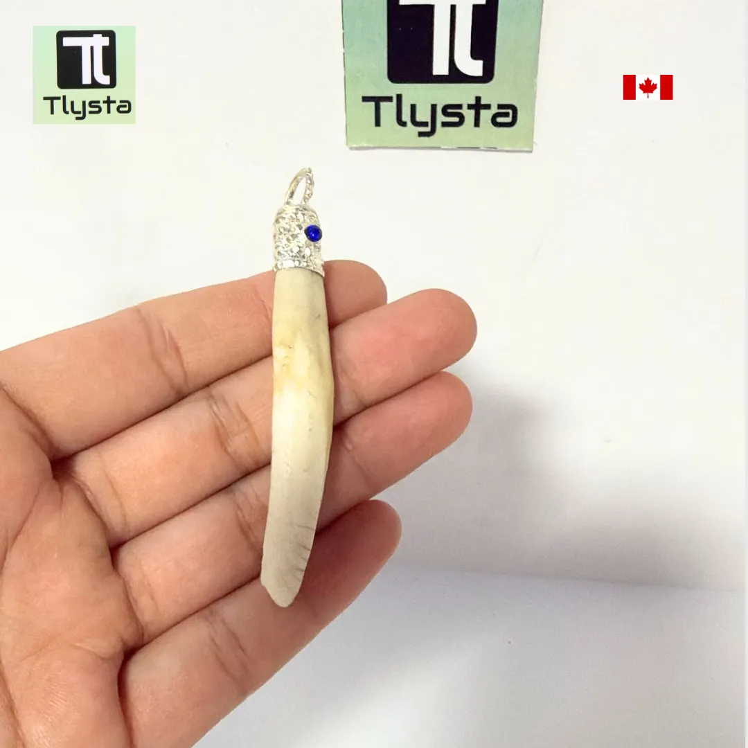 Boar Tusk (Soor Dandh) Thin Shape 17