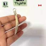 Boar Tusk (Soor Dandh) Thin Shape 18