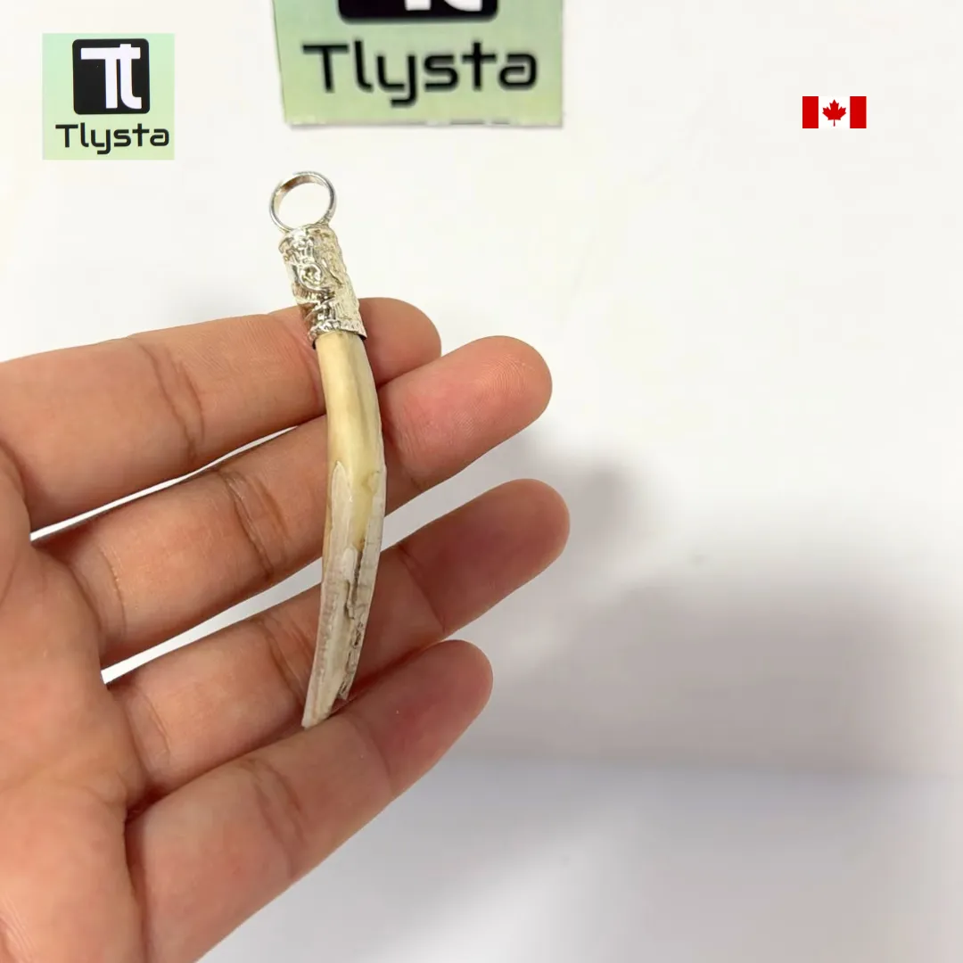 Boar Tusk (Soor Dandh) Thin Shape 18