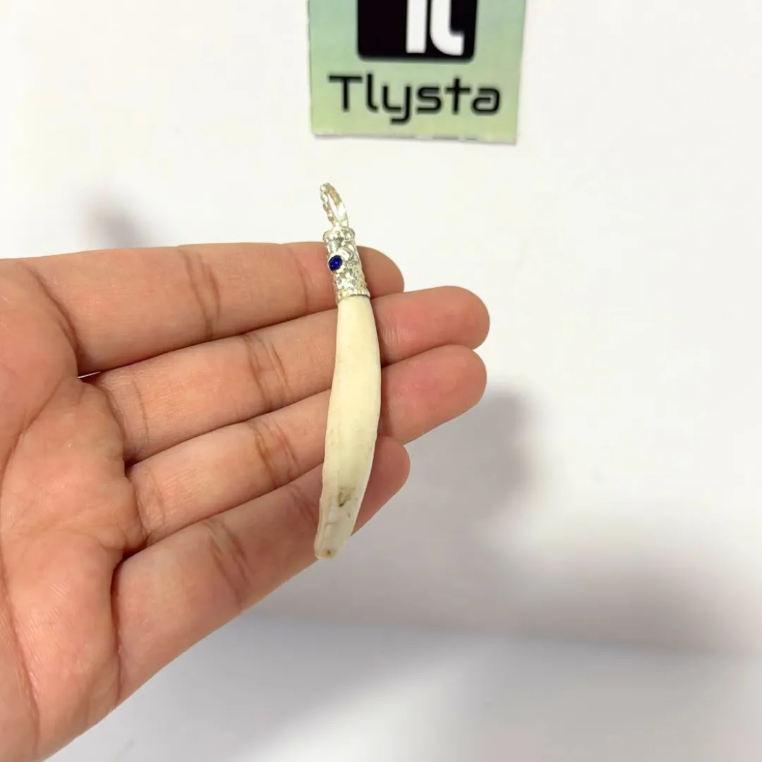 Boar Tusk (Soor Dandh) Thin Shape 3