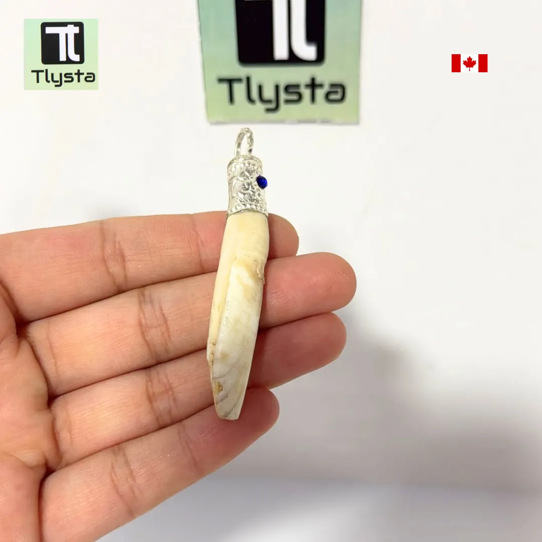 Boar Tusk (Soor Dandh) Thin Shape 5