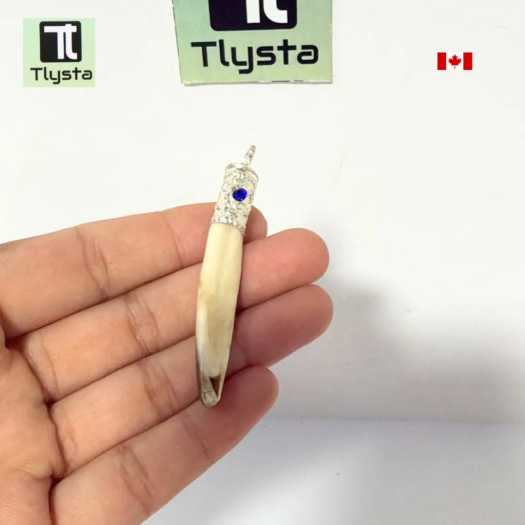 Boar Tusk (Soor Dandh) Thin Shape 9