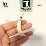 Boar Tusk (Soor Dandh) – Size Medium Shape 15