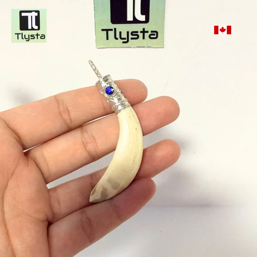 Boar Tusk (Soor Dandh) – Size Medium Shape 24
