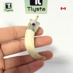 Boar Tusk (Soor Dandh) – Size Medium Shape 30