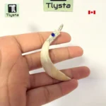 Boar Tusk (Soor Dandh) – Size Medium Shape 34