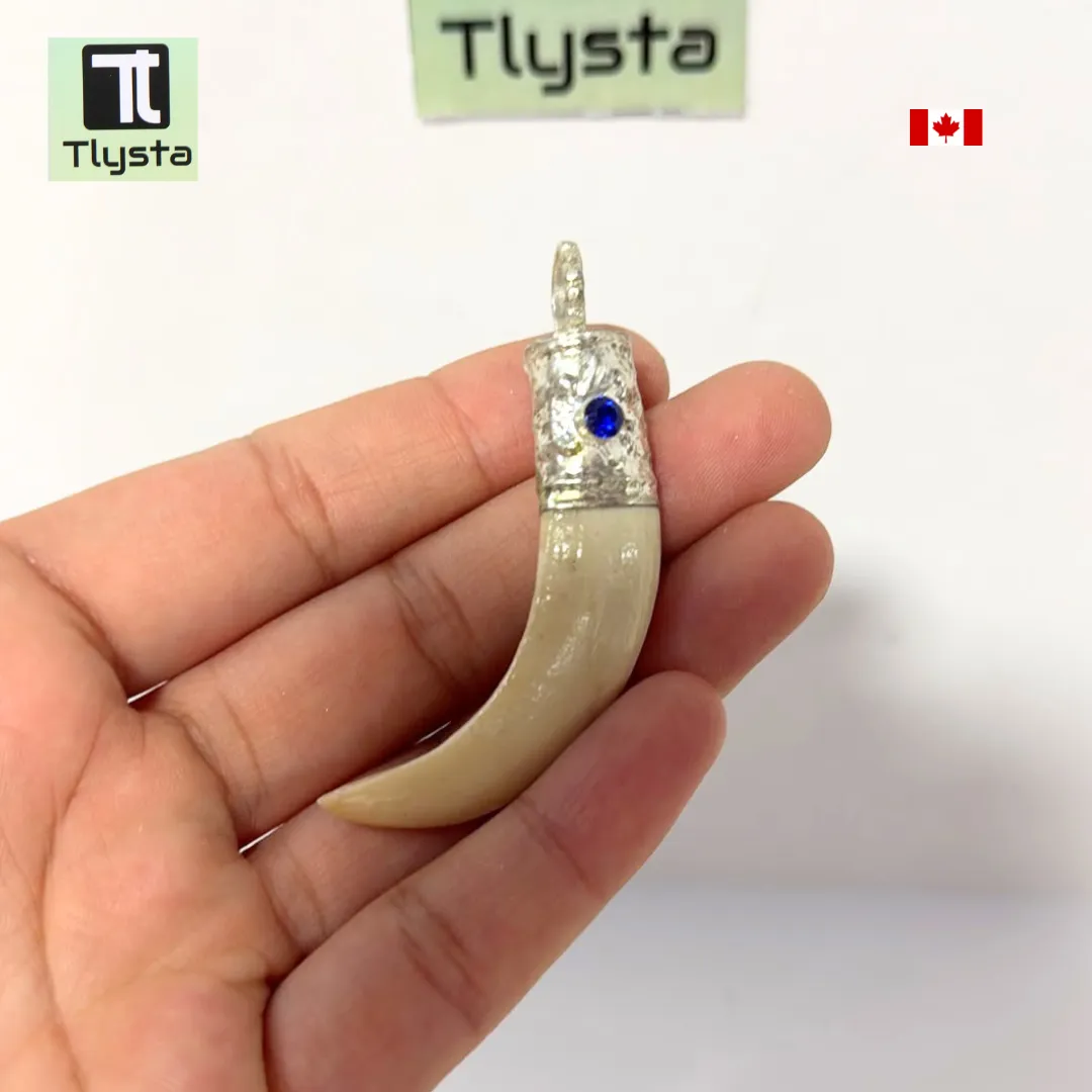 Boar Tusk (Soor Dandh) – Size Medium Shape 41