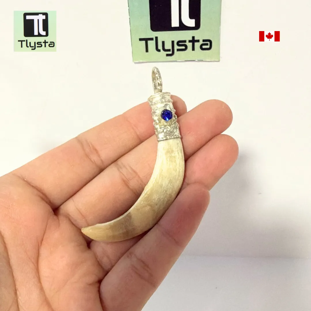 Boar Tusk (Soor Dandh) – Size Medium Shape 43