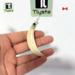 Boar Tusk (Soor Dandh) – Size Medium Shape 5