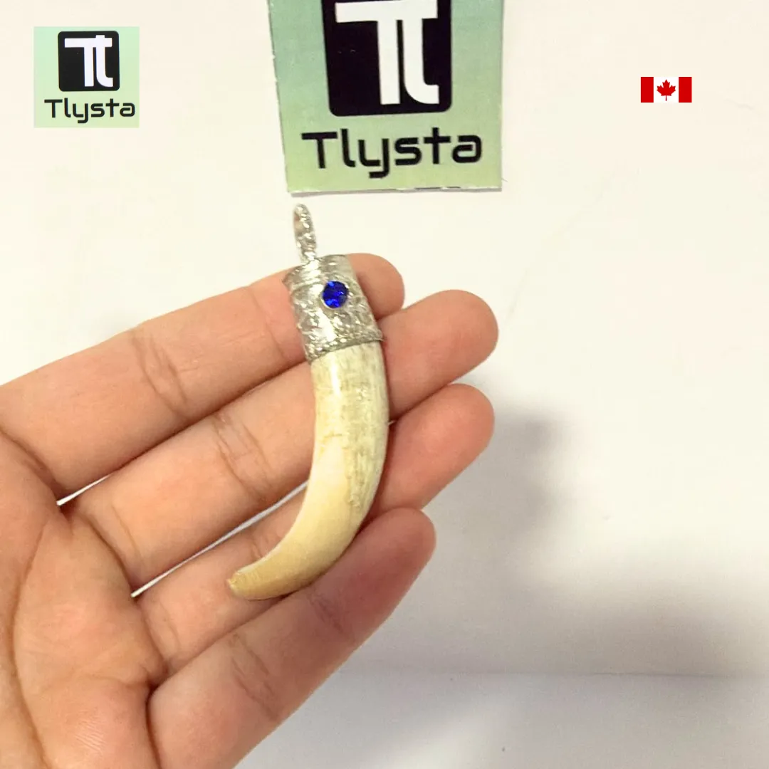 Boar Tusk (Soor Dandh) – Size Medium Shape 6