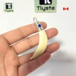 Boar Tusk (Soor Dandh) – Size Medium Shape 7
