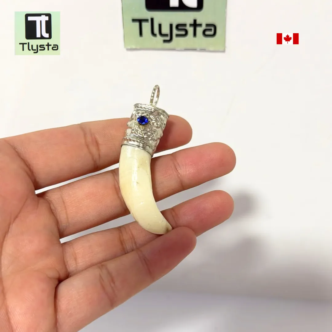 Boar Tusk (Soor Dandh) – Size Small Shape 10