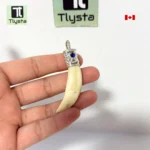 Boar Tusk (Soor Dandh) – Size Small Shape 11