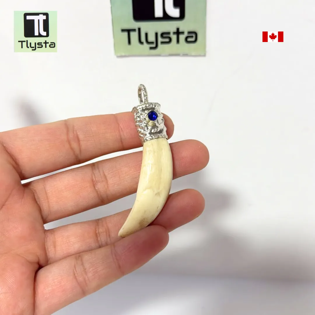 Boar Tusk (Soor Dandh) – Size Small Shape 11
