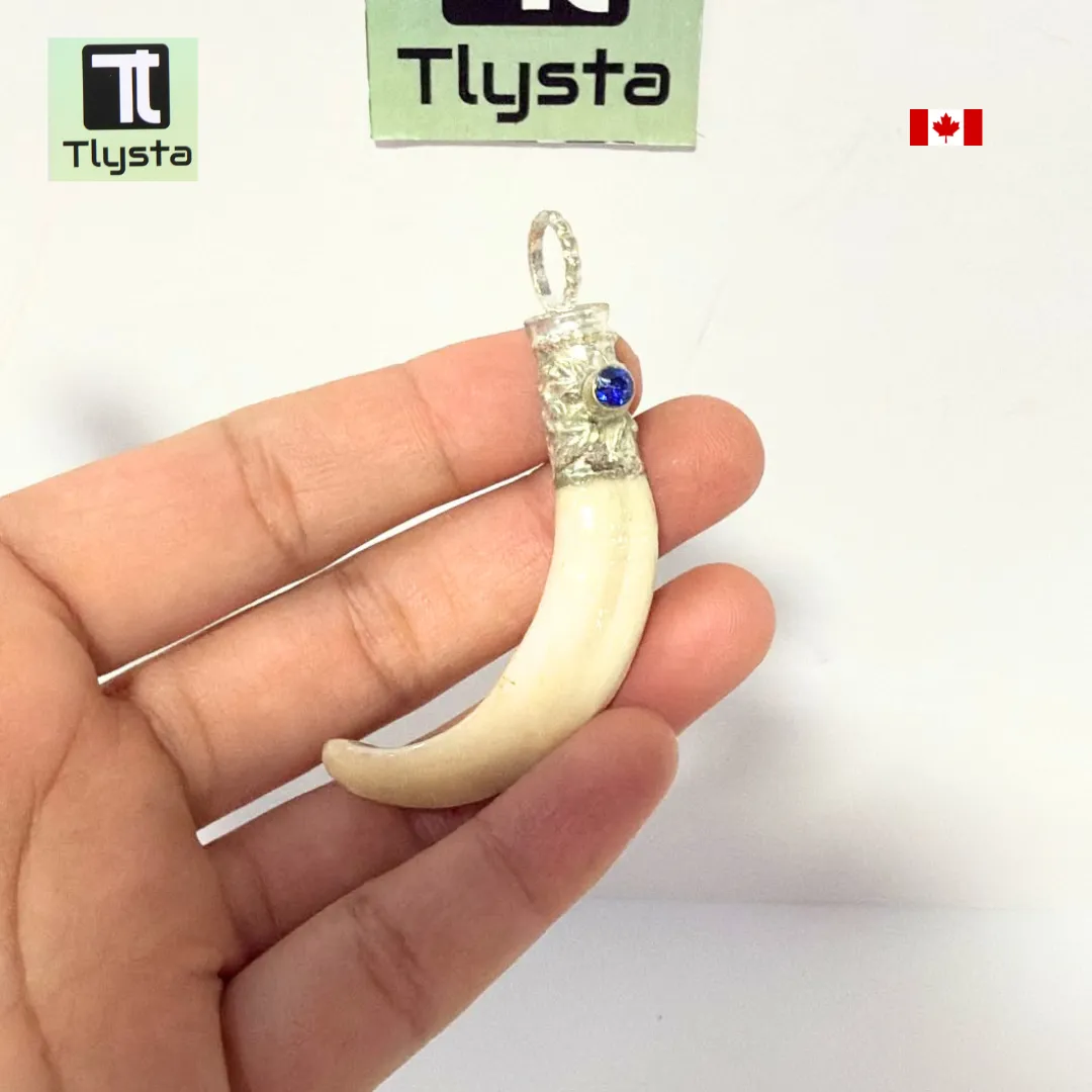 Boar Tusk (Soor Dandh) – Size Small Shape 15