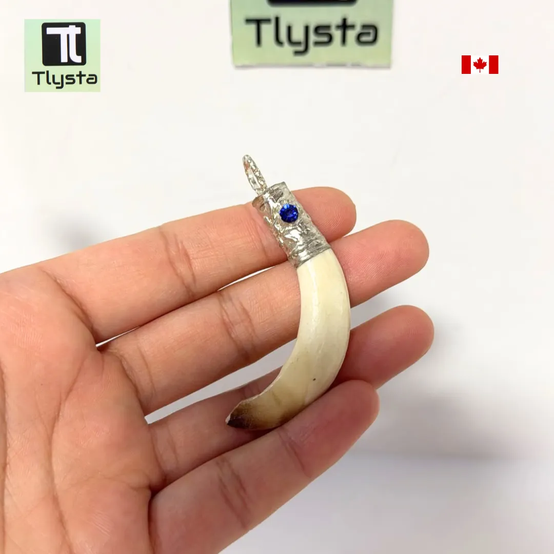 Boar Tusk (Soor Dandh) – Size Small Shape 16