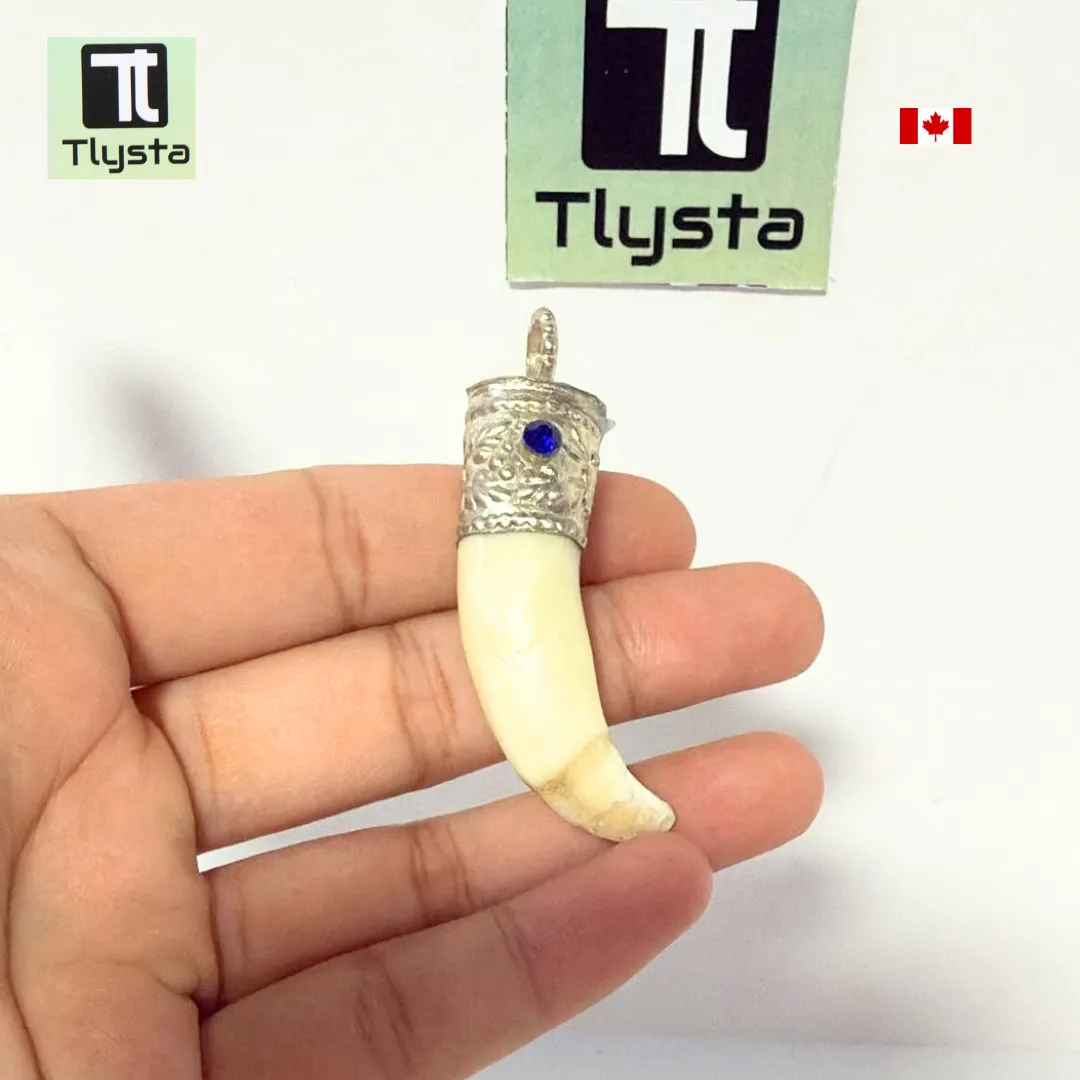 Boar Tusk (Soor Dandh) – Size Small Shape 17