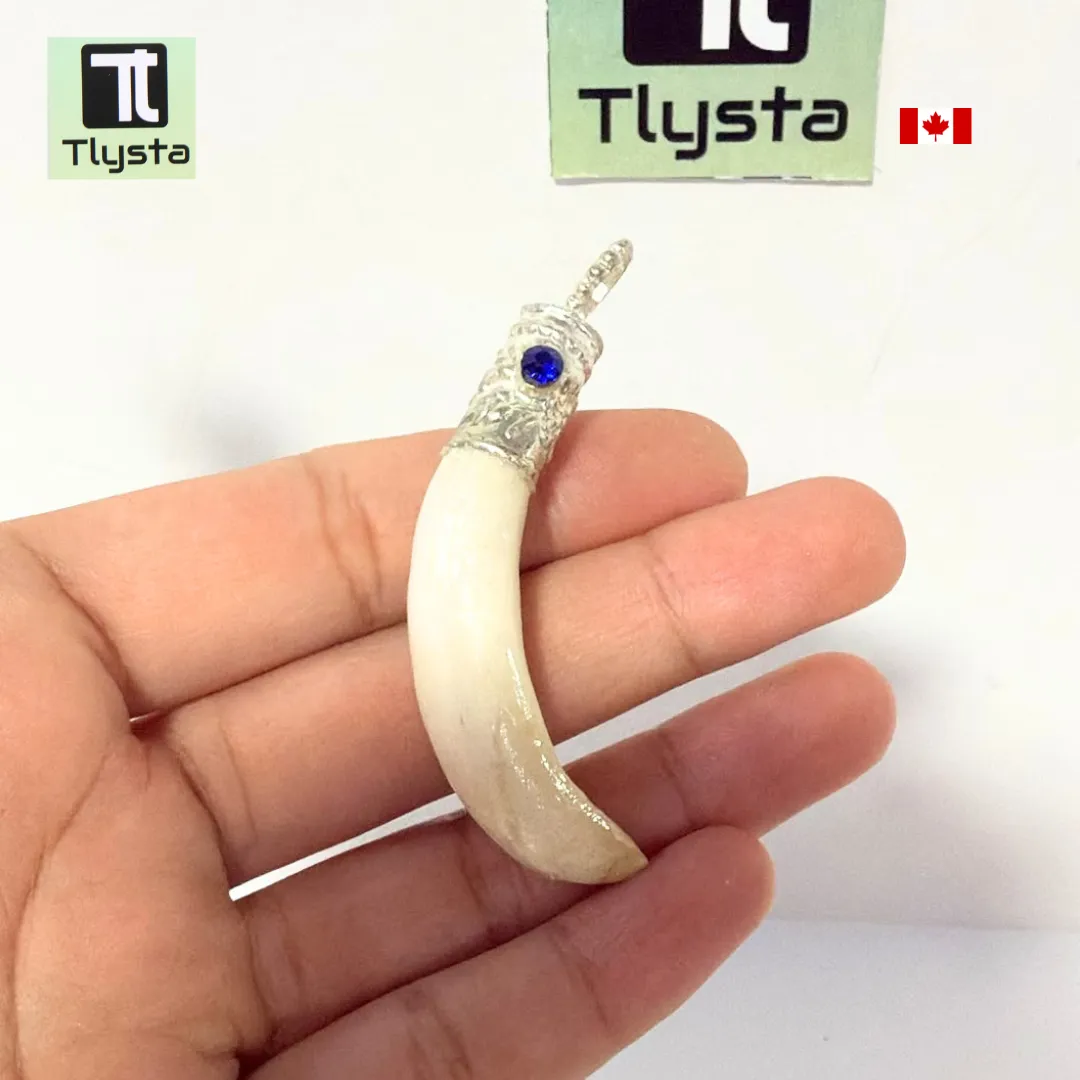Boar Tusk (Soor Dandh) – Size Small Shape 18