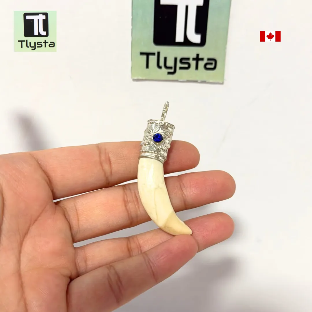 Boar Tusk (Soor Dandh) – Size Small Shape 2
