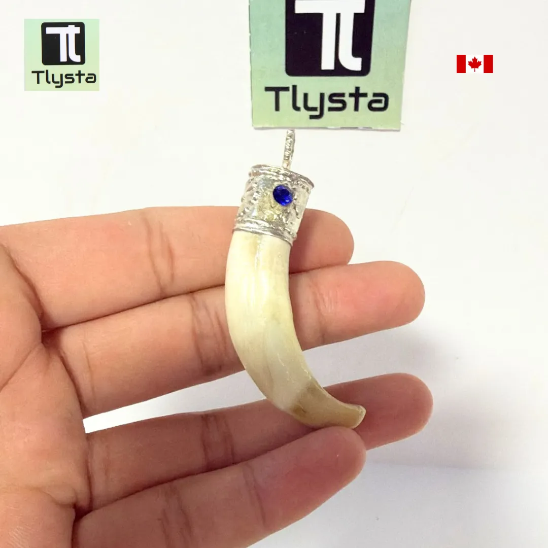 Boar Tusk (Soor Dandh) – Size Small Shape 22