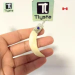Boar Tusk (Soor Dandh) – Size Small Shape 23