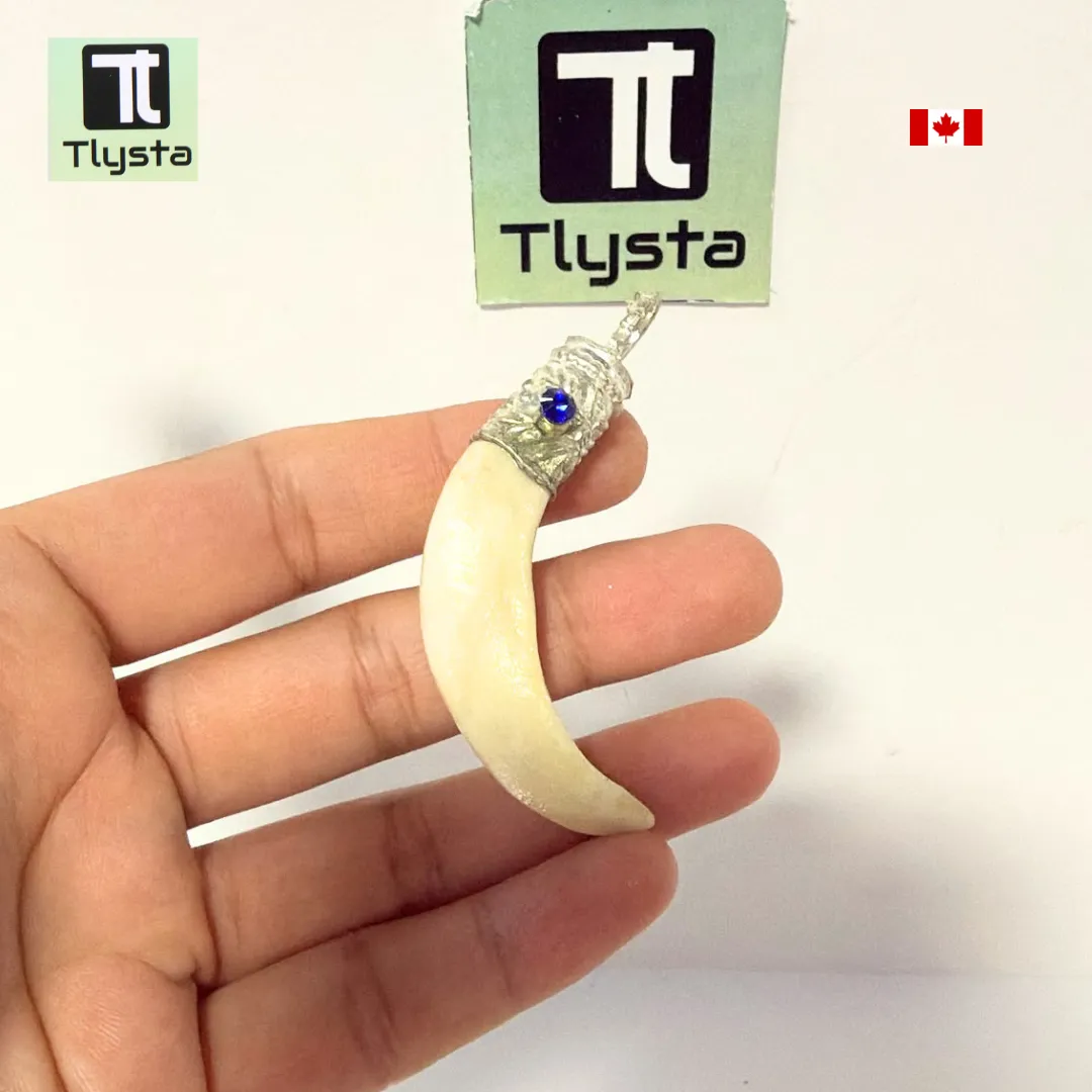 Boar Tusk (Soor Dandh) – Size Small Shape 23