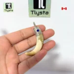 Boar Tusk (Soor Dandh) – Size Small Shape 3
