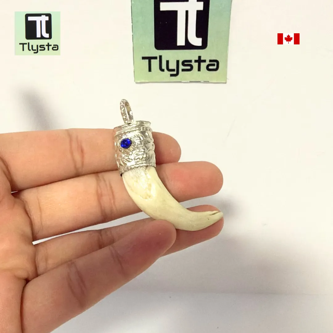 Boar Tusk (Soor Dandh) – Size Small Shape 32