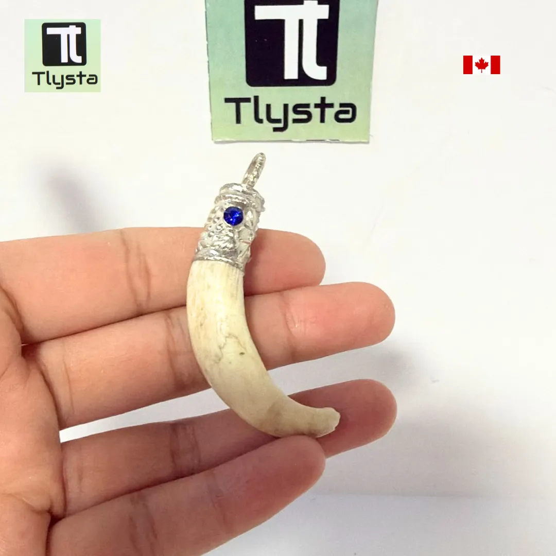Boar Tusk (Soor Dandh) – Size Small Shape 33