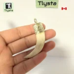 Boar Tusk (Soor Dandh) – Size Small Shape 38