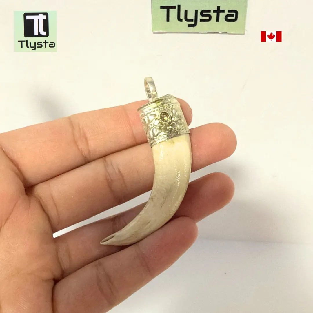 Boar Tusk (Soor Dandh) – Size Small Shape 38