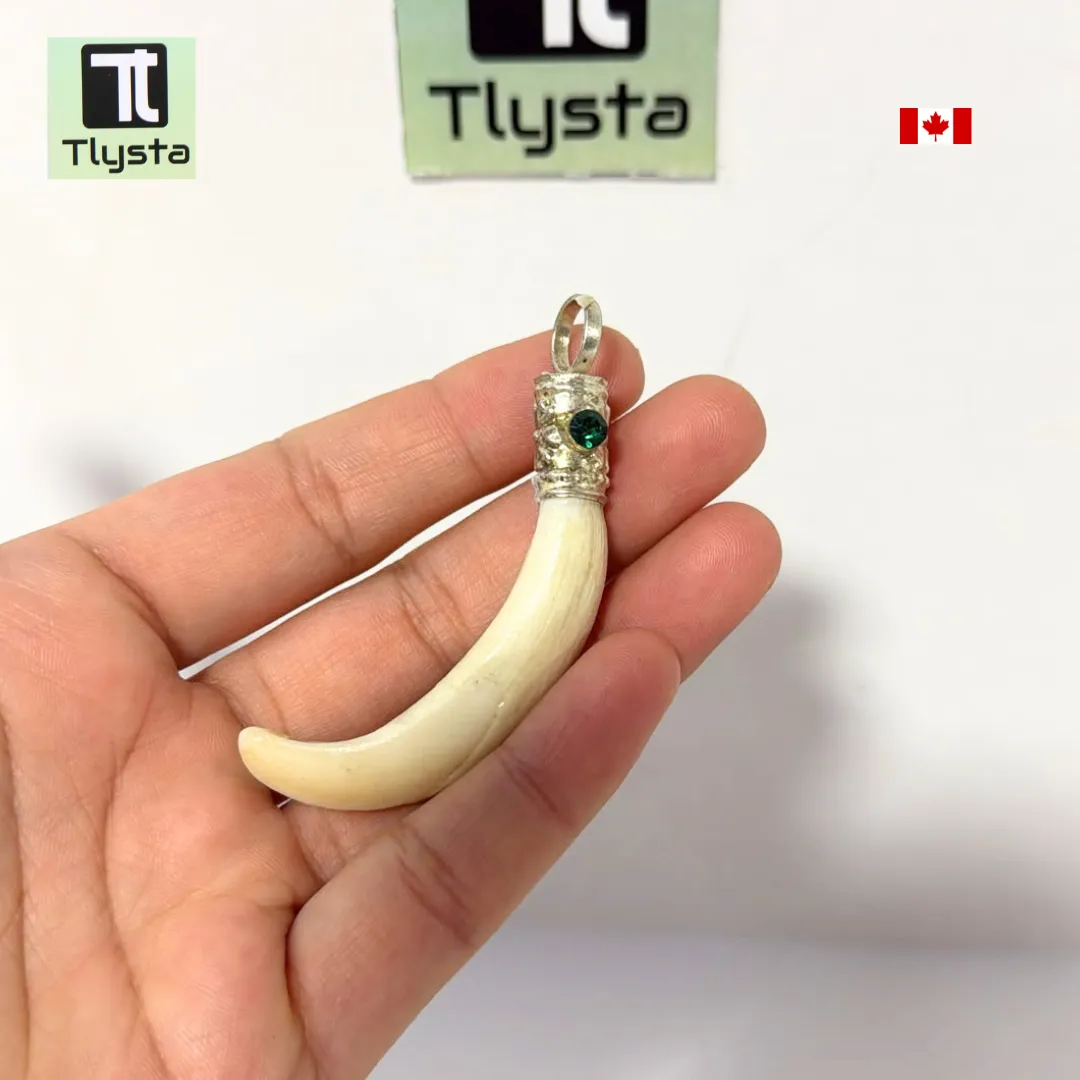Boar Tusk (Soor Dandh) – Size Small Shape 6